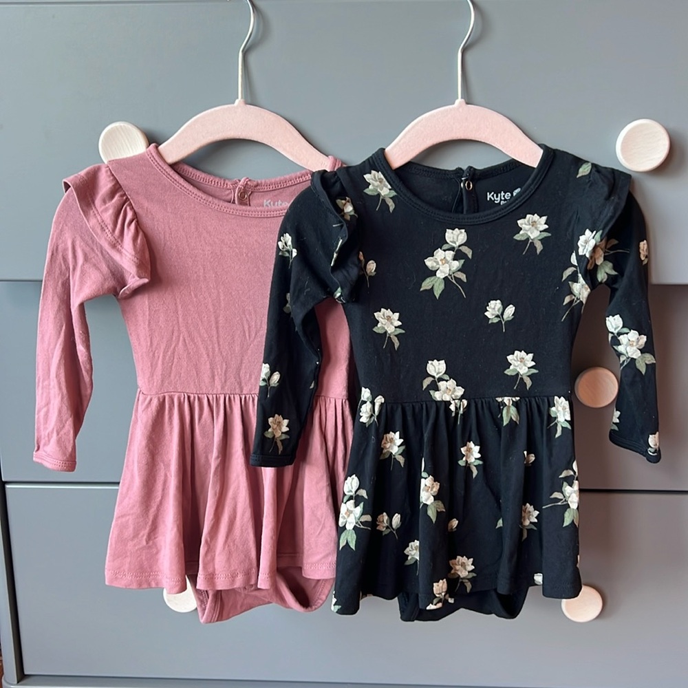 Kyte Baby bundle - Long Sleeve Twirl Bodysuit Dresses